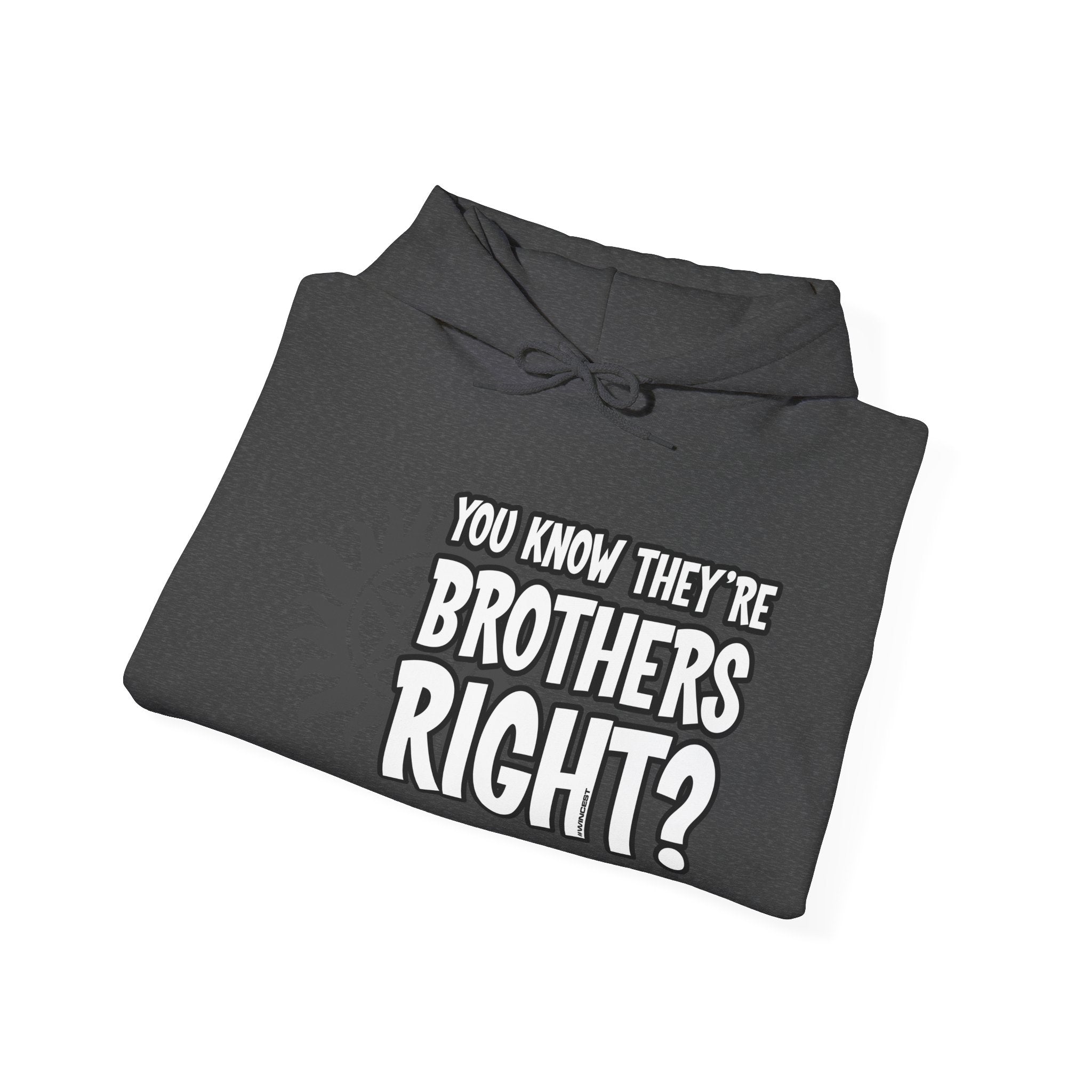They're Brothers Hoodie